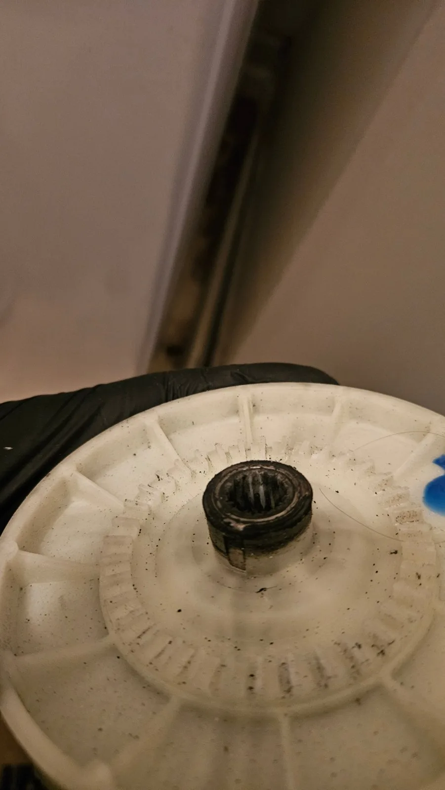 Kenmore Washer Stuck on Rinse. Splutch Repair in Raleigh — photo 3